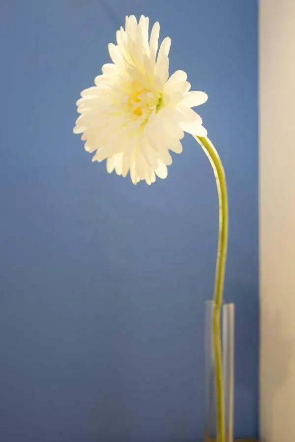 Lovely Corner: Perfect To Visit Treviso/Venezia Apartament Treviso